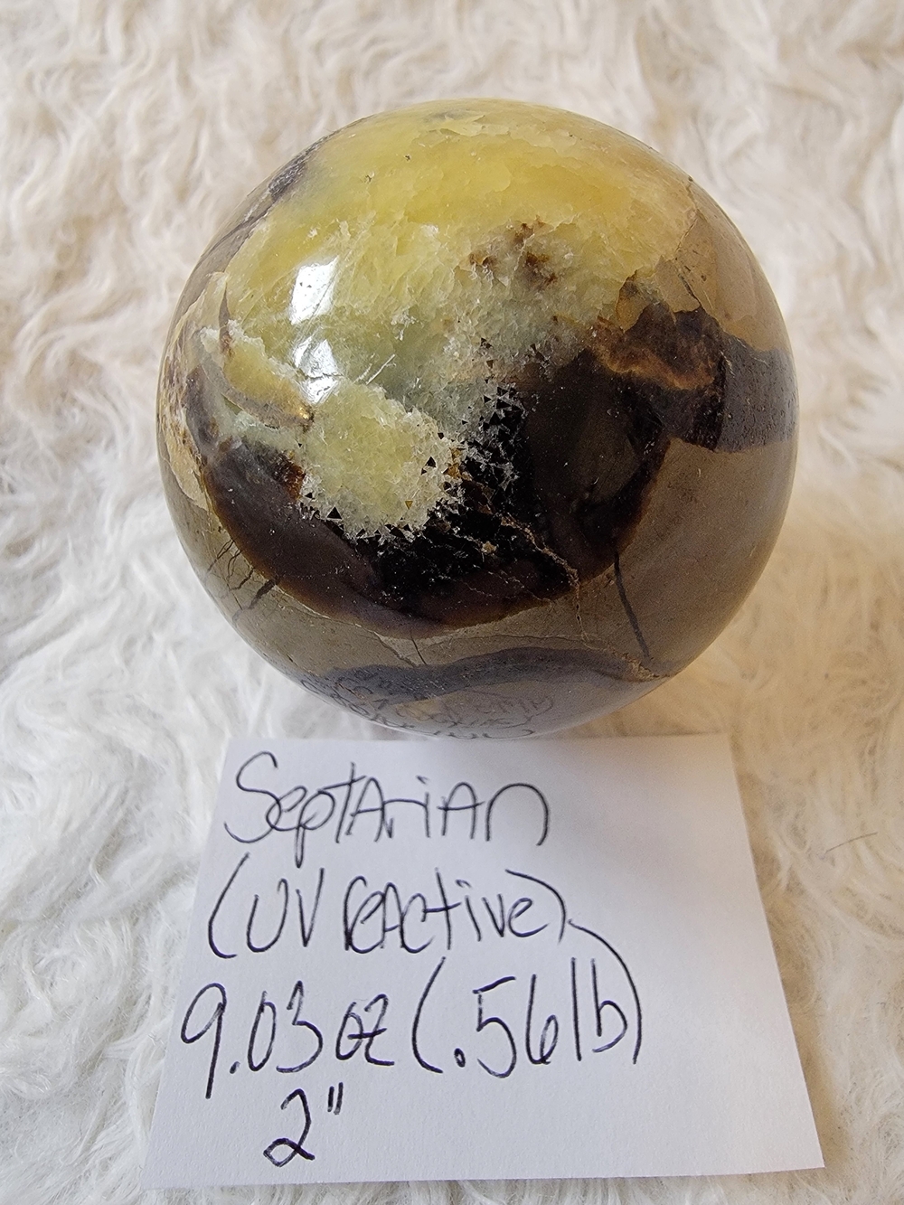 UV Reactive Septarian Stone Sphere with Display Stand
